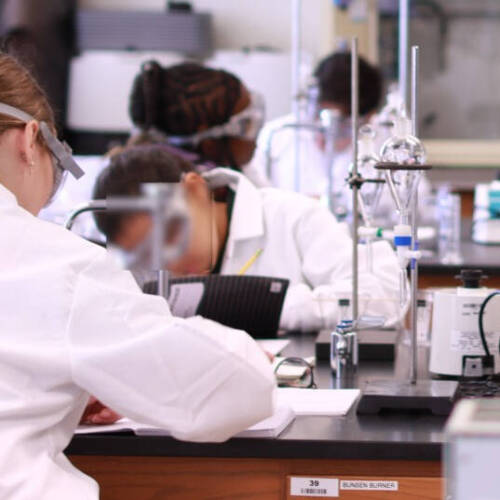 Participants in the Molecular Minds camp